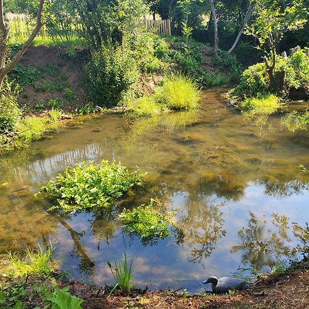 Le Clos Des Sources 滨海伊西尼 外观 照片